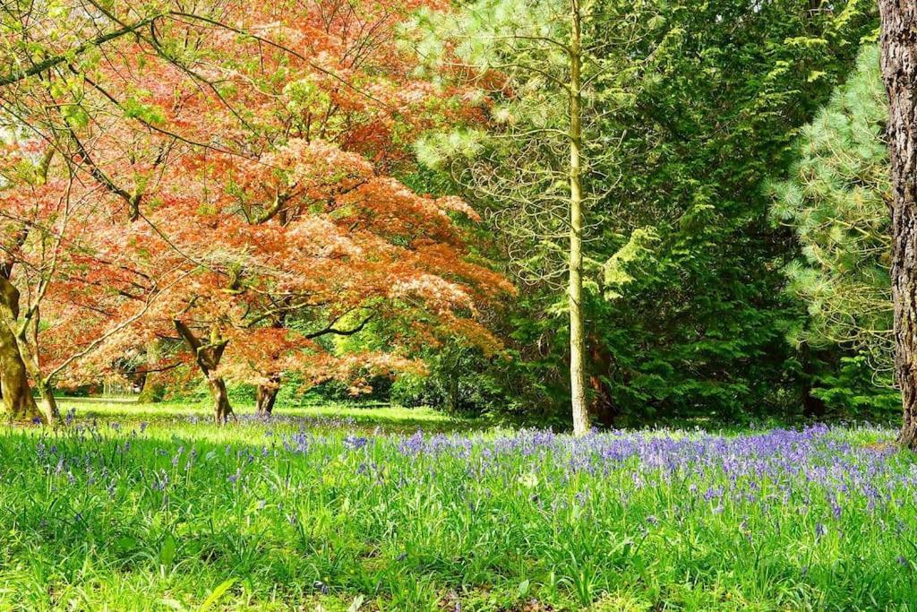 Cotswold Manor House - Country House Retreat With Hot Tub, Ideal For Large Groups Petty France ภายนอก รูปภาพ